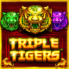 Triple Tigers